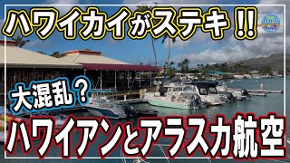 【大混乱？ハワイアンとアラスカ航空！】ハワイに住めなくなる？ハワイカイがステキ過ぎる！ #ハワイ #ハワイ移住 #子育て #海外生活 #子育て