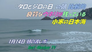 「タロとジロの日」の朝 比較的良質なウネリが残っている 小寒の日本海 250114 ~サーフモンキーTV