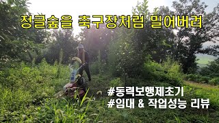 #10. [감꽃농장] 귀농귀촌 일상 vlog | 동력보행제초기 임대\u0026작업능력 리뷰 | 감나무밭 풀깎기 | 정글숲을 축구장으로 만들어라 !!