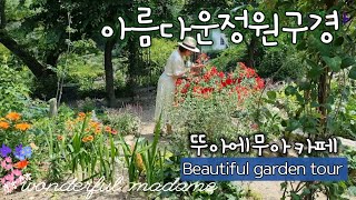 [아름다운정원구경]산림청선정'최고의정원상'의 비결/가을까지피는 야생화26가지/야생화가 다했다