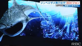 ジンベエザメが街中に出没！？全国2例目の3Dビジョンが繁華街に登場