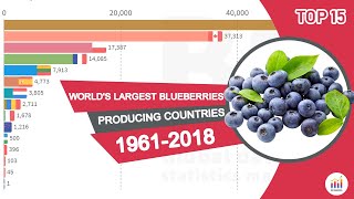 World's Largest Blueberries Producing Countries 1961-2018