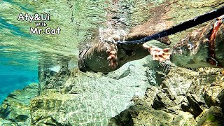 Take a rest after a short swim with a spectacular view. [Otter life Day 727]