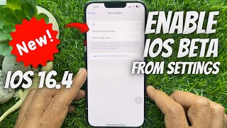 How to Enable iOS Beta from the Settings app with iPhone iOS 16.4 and later