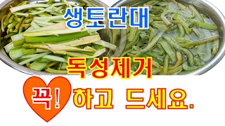 🎁 생토란줄기 토란대 삶는법/생토란줄기 토란대 독성제거법/생토란대 말리지 않고 먹는법