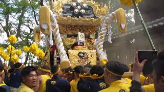 津田天満神社　宵宮　今在家 宮入り 拝殿回り　2023年10月7日(土)