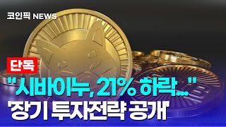 [시바이누 코인 전망] 30일간 21% 하락! 지금이 저점 매수의 기회인가? 장기/스윙 투자자들의 전략은!?