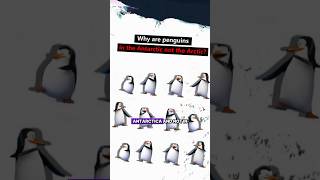 Why are penguins in the Antarctic not the Arctic?#map #world #penguin #arctic