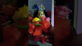 উঃ বাবা 😱😱 তরমুজ 🍉🍉 #harekrishna #trending #shortvideo #krishna #laddugopalstatus