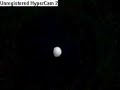 Dragon Ball Z Amv Faint