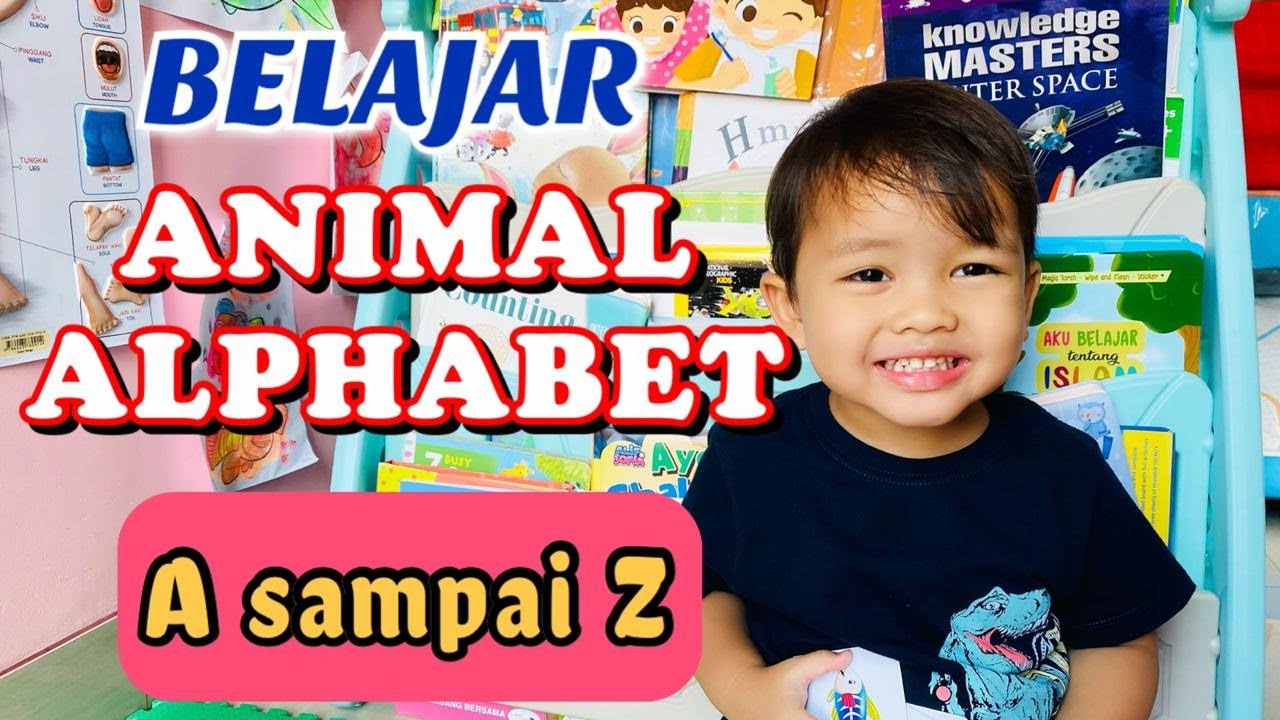 Belajar ABC Nama Hewan Dalam Bahasa Inggris (animal Alphabet) - YouTube