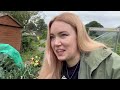 tidying the front of the plot again...😅 allotment vlog 🎃 ep.32 🎃