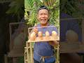 BIKIN TEMPAT TELUR DARI BAMBU #art #craft #diy #viral #video #like #food #shorts