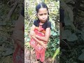 ଖେଳ ସ୍କୁଲ ରେ ପାଠ ପଢ଼ି ବି funny vdo odiaviralvideos odiafunnyv shortvideo shortsfeed