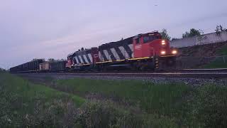 ZEBRA DUO! CN L551 - 9547W at Tansley - May 16, 2024