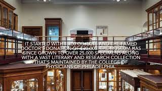 Mutter Museum | Only place you can witness Einstein brain | Philadelphia | Some interesting facts