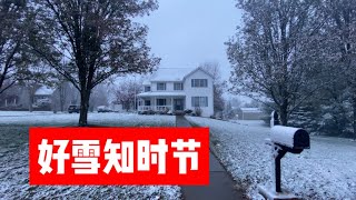 好雪知时节