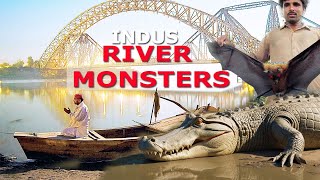 Indus River Monsters in the River \u0026 Ancient Temples 🛕SUKKUR CITY