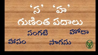 Telugu Gunintalu ( Sa, Ha ) // తెలుగు గుణింతాలు { స , హ  } // గుణింత పదాలు