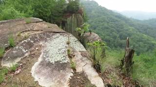 杉山山頂北の丁場跡への登山