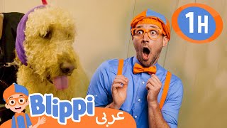 الاعتناء بالحيوانات الأليفة  | برنامج بليبي التعليمي | برامج كرتون و أغاني للأطفال | Blippi