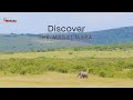 DISCOVER MASAI MARA | An Iconic Safari Destination