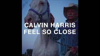 Calvin Harris - Feel So Close (Audio)
