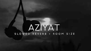 Aziyat - Lofi Slowed Reverb + Room Size Vox | Aesthetic song version Ro.2