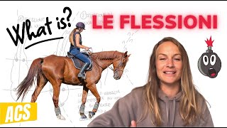 Equitazione: LE FLESSIONI (Come, quale e quando?)