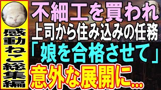 【感動する話★総集編】上司の娘と1ヶ月間受験の為に生活することになった弁護士の俺。上司娘「これからも一緒がいいです」→結果、上司は青ざめて…「え？」【いい話】【朗読】