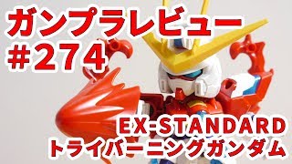 ガンプラレビュー # 274 [EX-STANDARD TBG-011B トライバーニングガンダム] 011