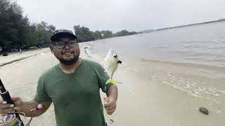 Surfcasting Di Pantai Bagan Lalang | Ikan Lembu Je Naik Dekat Sini #surfcasting #mancing