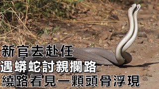 民間故事：新官去赴任，遇蟒蛇討親攔路，繞路看見一顆頭骨浮現｜高朗講故事