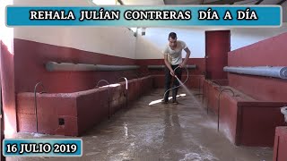 REHALA JULÍAN CONTRERAS DÍA A DÍA 2019