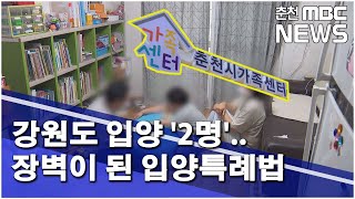 [춘천 MBC] 강원도 입양 '2명'..장벽이 된 입양특례법