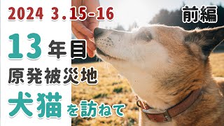 福島原発被災地の犬猫を訪ねて＜前編＞2024.3.15-2024.3.16 ~ 13回目の3.11が過ぎ去って ~