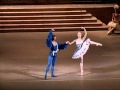 Mariinsky Sleeping Beauty - Florine & Bluebird