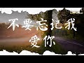 不要忘記我愛你 張碧晨 |pinyin|高音質|動態歌詞Lyrics