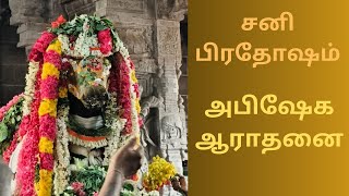 சனி பிரதோஷம் || ஆவணி மாதம்||பாடலீஸ்வரர் கோயில்||Padaleeswarar Temple || #lordsivan #பிரதோஷம் #சிவன்