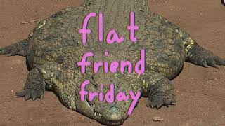 Flat Friend Friday