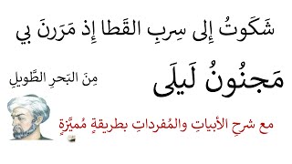 شكوت إلى سرب القطا إذ مررن بي مجنون ليلى مع شرحها بطريقة مميزة