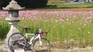 【自転車車載動画】大坂峠 - タノカンサカフェ - 千苅貯水池 を訪ねる 北摂三田の旅 [HD]