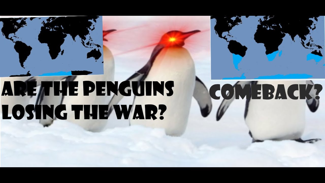 Penguen Edit Youtube