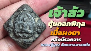 💥เจ้าสัวซุ้มดอกพิกุล เนื้อผงยา (หลังจาร) หลวงปู่บุญ วัดกลางบางแก้ว