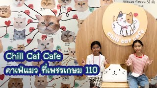 Chill Cat Cafe คาเฟ่แมว ที่เพชรเกษม 110