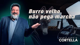 Mario Sergio Cortella - É tarde para você?