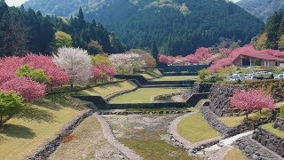 DJI SPARKが残してくれたもの④ 空撮　八重桜が咲くだんだん公園