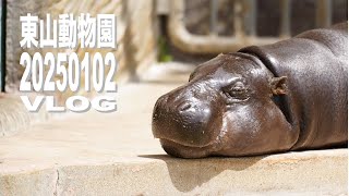 東山動物園　20250102 VLOG