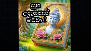 සුභ උදෑසනක් වේවා ! suba udasanak wewa !