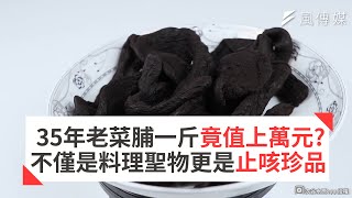 35年老菜脯一斤價值上萬元?不僅是料理聖物更是止咳珍品